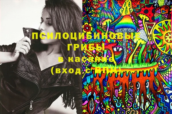 бутират Нязепетровск